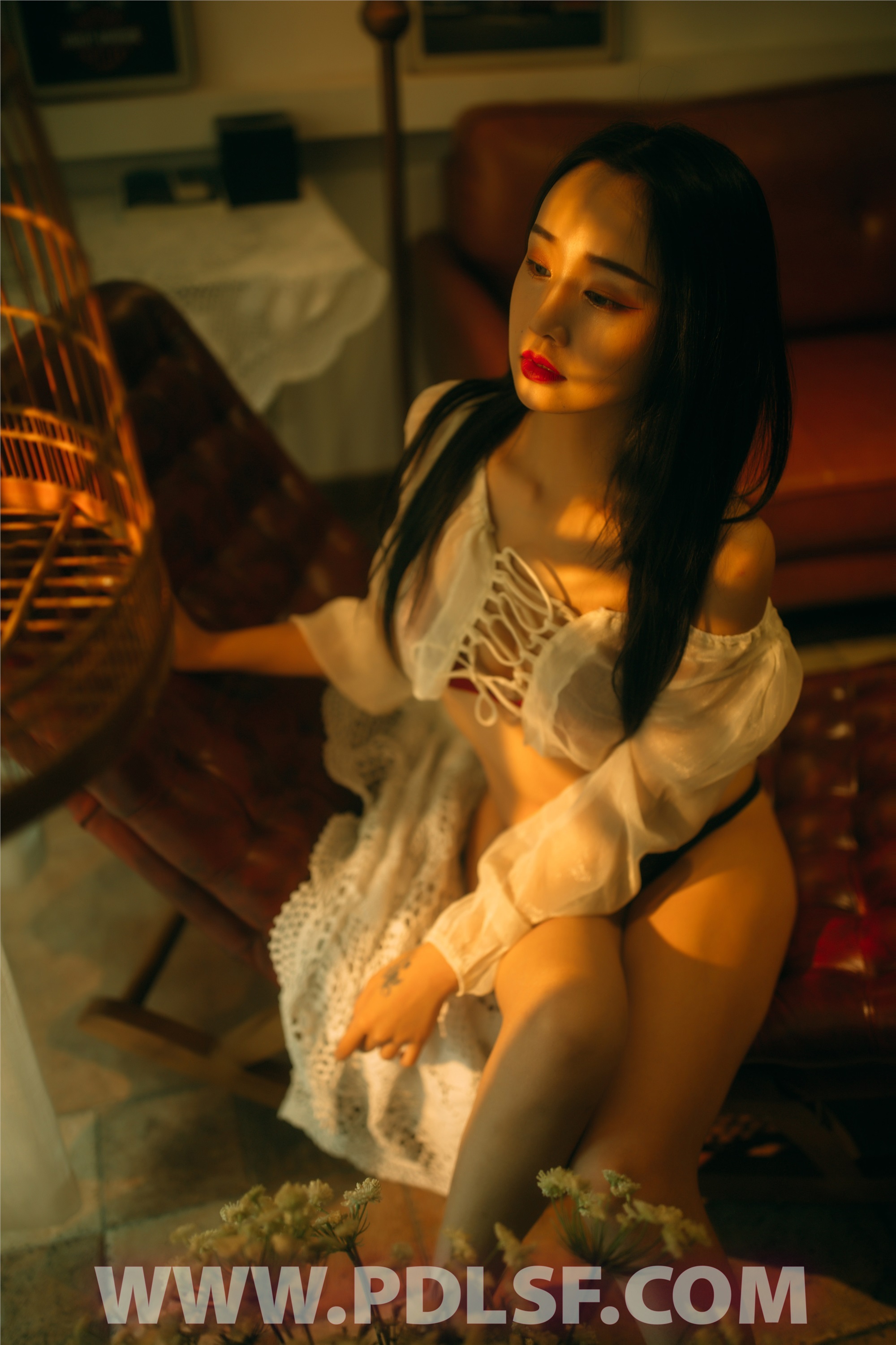 PDL潘多拉 2020.05.02 专辑No.289